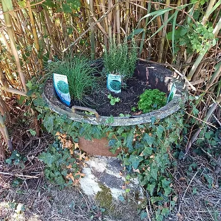 Petit gîte de charme avec jacuzzi Magnac-Lavalette-Villars Extérieur photo